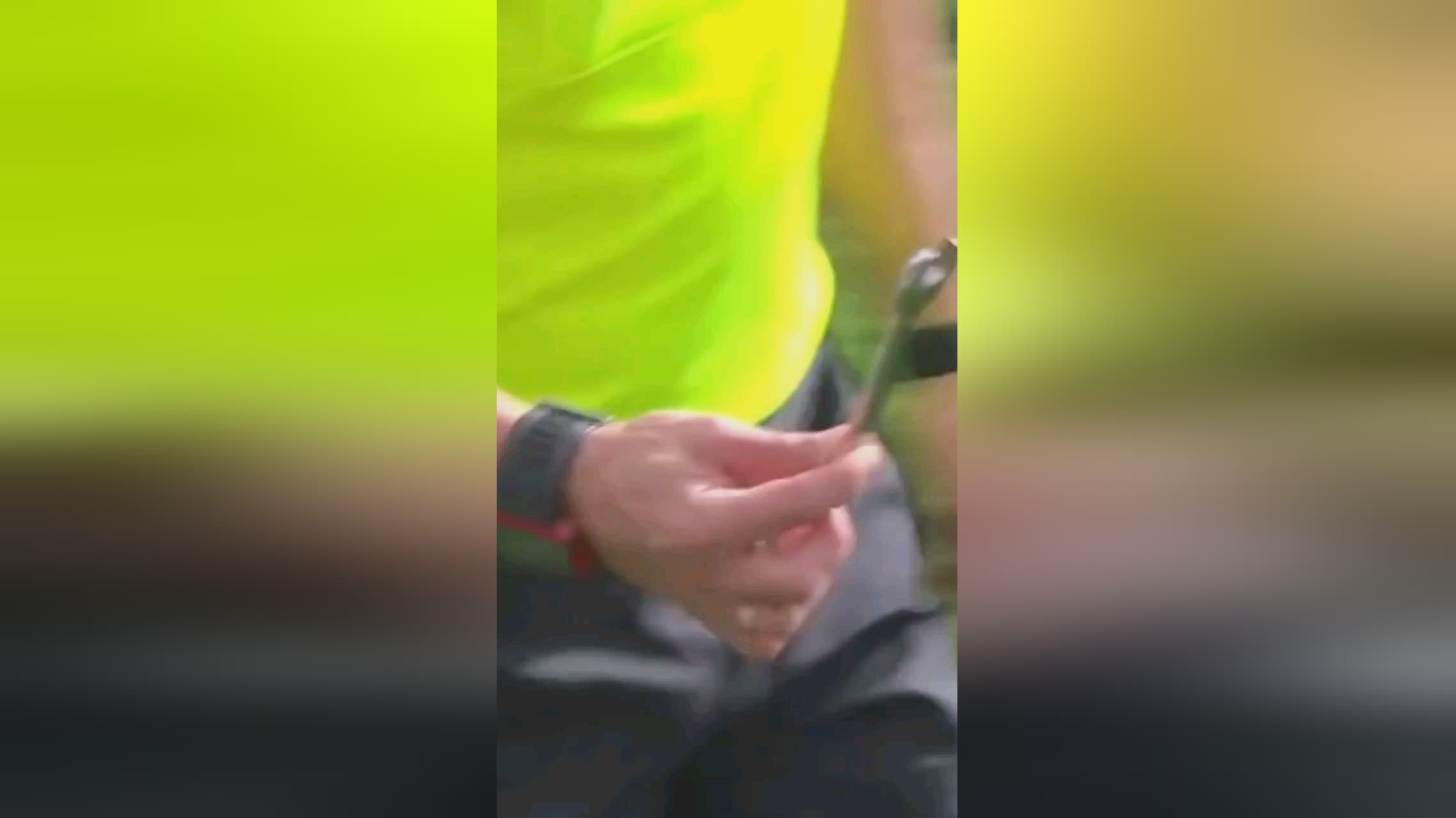适应意大利
