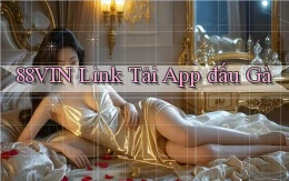88vin  link tải app đấu gà