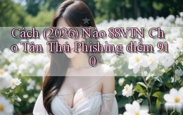 Cách (2026) nào 88vin cho tân thủ   phishing điểm 910