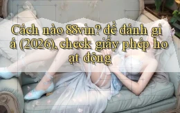 Cách nào 88vin để đánh giá (2026), check giấy phép hoạt động