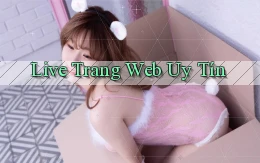 Live Trang web uy tín