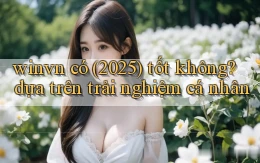 winvn có (2025) tốt không dựa trên trải nghiệm cá nhân